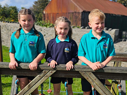 Cyngor ysgol 2025-26