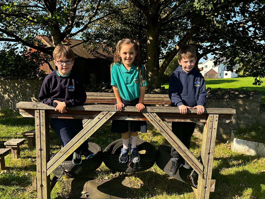 Cyngor ysgol 2024-25