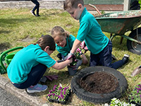 Everyone has been busy gardening