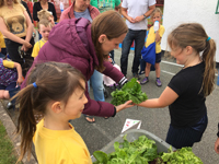 girl selling lettuce