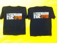 Llysgenhadon Efydd